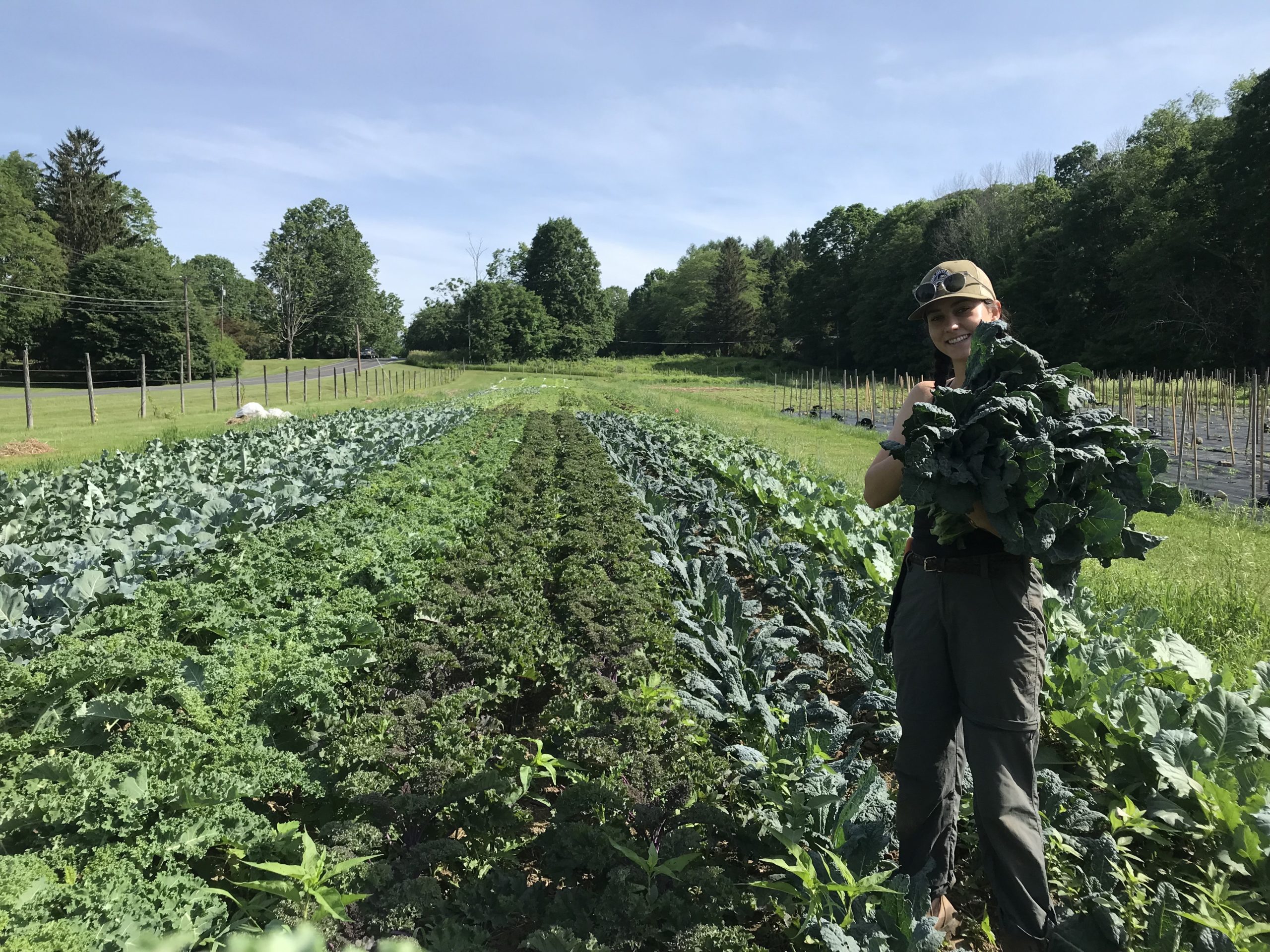 Meet Will & Jill of Hungry Reaper Farm